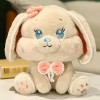 Belle Poupée Lapin en Peluche Haute Qualité Lapin en Peluche Dessin Animé Animal Jouets Enfants Cadeau D’Anniversaire 25cm 3