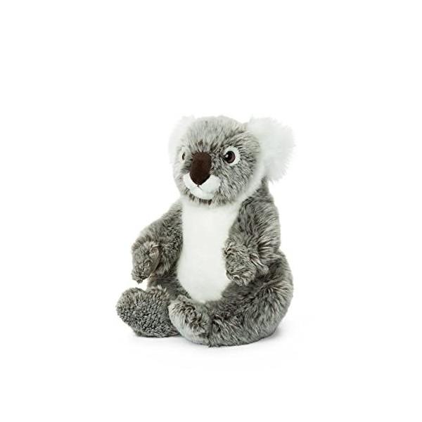 WWF - Peluche Koala - Peluche Réaliste avec de Nombreux Détails Ressemblants - Douce et Souple - Normes CE - Hauteur 22 cm