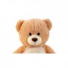 Lifestyle & More Ours en Peluche géant XXL 100 cm Doudou Velours Doux