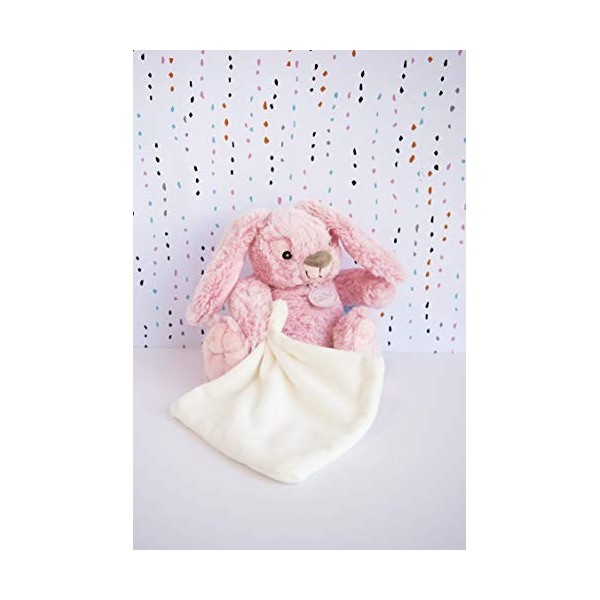 BABY NAT - Peluche Lapin avec Doudou Mouchoir - 15 cm - Guimauve Rose - Idée Cadeau Naissance - BN0218