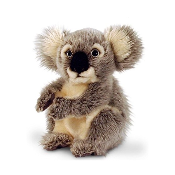 Keel Toys Ours en peluche koala – Peluche assis env. 28 cm