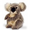 Keel Toys Ours en peluche koala – Peluche assis env. 28 cm