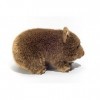 Teddy Hermann - 914266 - Peluche - Wombat, 26 cm