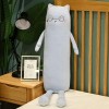 Dessin animé Long Chat Tapis de Couchage Oreiller Mignon Chat Jambes Peluche Jouets pour Enfants Fille Cadeau d’Anniversaire 