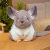 SaruEL Chat en Peluche Mignon, Hamster en Peluche, Jouet, Animal en Peluche, poupée en Peluche, Cadeau de Noël Mascotte pour 