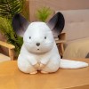 SaruEL Chat en Peluche Mignon, Hamster en Peluche, Jouet, Animal en Peluche, poupée en Peluche, Cadeau de Noël Mascotte pour 