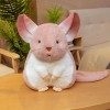 SaruEL Chat en Peluche Mignon, Hamster en Peluche, Jouet, Animal en Peluche, poupée en Peluche, Cadeau de Noël Mascotte pour 