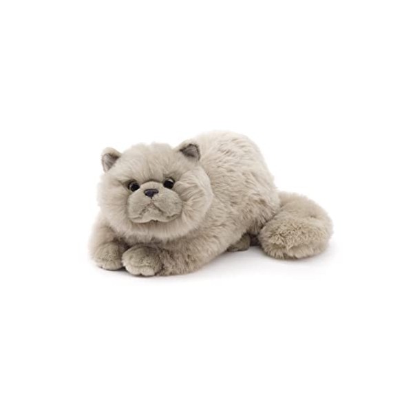 Uni-Toys - Chat Persan Gris, couché - 31 cm Longueur - Chat en Peluche - Peluche, Doudou