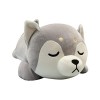 Corgi Dog Peluche Oreiller, 50cm Shiba Inu Peluche Chiens Corgi Akita Peluches Peluches Câlin Oreiller Animal Chien Peluche O