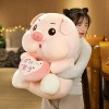 GagaLu Mignon Ange Cochon Peluche Peluche Animal poupée porcelet Enfants Oreiller Fille Anniversaire Cadeau de Noël 45cm 1