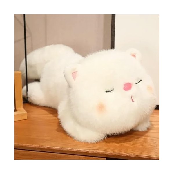 NOpinz Kawaii Dessin animé Chat Peluche Jouet Animal en Peluche Chaton poupée Oreiller en Peluche Jouet Chaton Cadeau d’Anniv