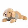 NOpinz Haute Qualité Chien Peluche Jouet en Peluche Dessin Animé Animal Golden Retriever Couchage Oreiller Chaise Tapis Cadea