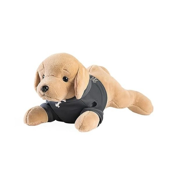 NOpinz Haute Qualité Chien Peluche Jouet en Peluche Dessin Animé Animal Golden Retriever Couchage Oreiller Chaise Tapis Cadea
