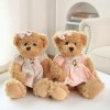 SaruEL Mignon Ours en Peluche Peluche Animal Oreiller poupée Enfants Fille Anniversaire Cadeau de Noël 26cm 10
