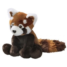 Carl Dick Peluche Panda Rouge, Red Panda, 25/37cm 3155
