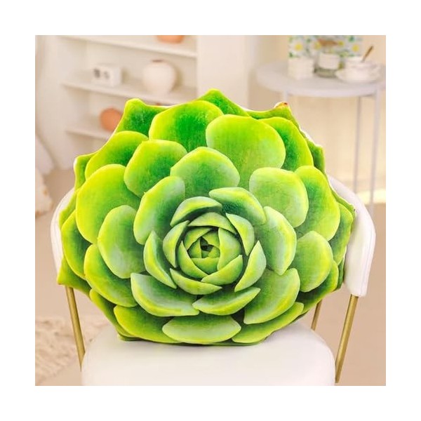 GagaLu Plante succulente Jouet en Peluche poupée créative Fleur en Pot Coussin Chaise Coussin Fille Enfants Anniversaire Cade