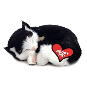 Plenty Gifts- Perfect Petzzz Soft Black & White Domestic Shorthair, 92554, Universel, Taille Unique