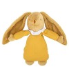 TROUSSELIER - Doudou Musical Lapin Nid dAnge - Musique La Vie en Rose Edith Piaf - 25 cm de haut - Classique Chic - Idéal Ca