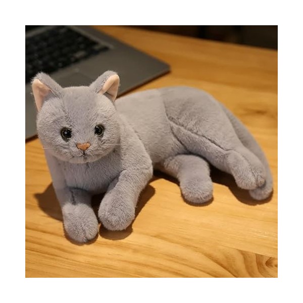 SaruEL Jouets en Peluche Mignons et réalistes, Coussins en Peluche pour Chat, décorations de Chambre, Grands Cadeaux pour Les