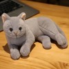 SaruEL Jouets en Peluche Mignons et réalistes, Coussins en Peluche pour Chat, décorations de Chambre, Grands Cadeaux pour Les