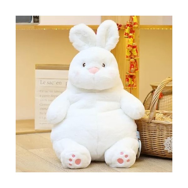 EacTEL Lapin Peluche Poupée Doux Mignon Lapin Animal Jouet Oreiller Kawaii Coussin Décoration Enfants Filles Cadeau D’Anniver