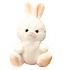 ibasenice Peluche Petite Poupée Lapin Poupée Lapin Câlin Cadeau De Nouvel an Jouets Damis Coucher Joli Jouet De Lapin Ornemen