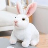 EacTEL Mignon Peluche Jouets Lapin Kawaii Peluche Animaux Pâques Jouets Enfants Cadeaux Décoration D’Anniversaire Cadeaux De 