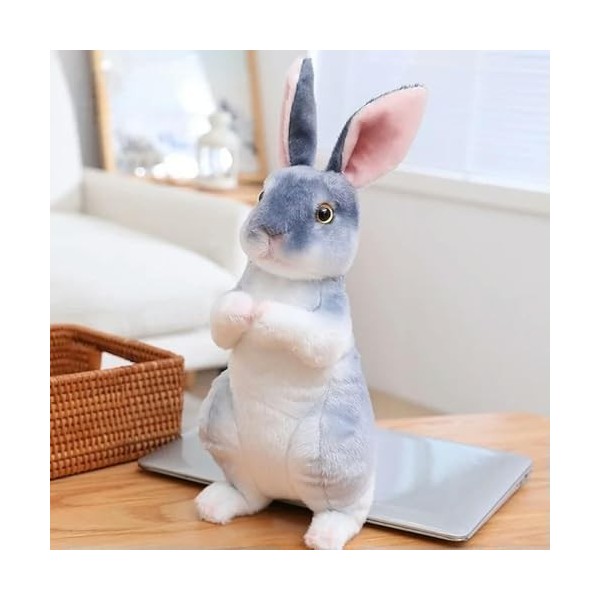 EacTEL Mignon Peluche Jouets Lapin Kawaii Peluche Animaux Pâques Jouets Enfants Cadeaux Décoration D’Anniversaire Cadeaux De 