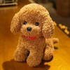 GagaLu Ours en Peluche Moelleux, Chien, Caniche, Peluche, Animal, Jouet, poupée pour Animaux de Compagnie, Cadeau d’Anniversa