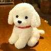 GagaLu Ours en Peluche Moelleux, Chien, Caniche, Peluche, Animal, Jouet, poupée pour Animaux de Compagnie, Cadeau d’Anniversa