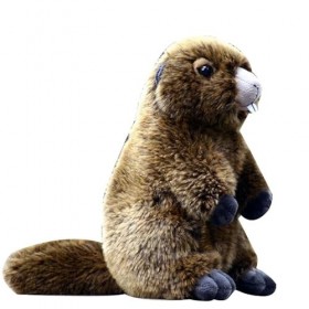 JOEBO Poupée en Peluche marmotte, Simulation Mignonne, marmotte, Souris à Grandes Dents, Douce et Mignonne, Cadeau dannivers