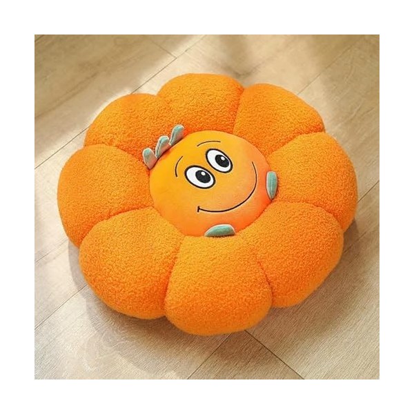 Forme de Citrouille créative, Coussin en Peluche Fleur, canapé Moelleux, Tapis de Sol, Cochon Mignon, Dinosaure, Lapin, Carot