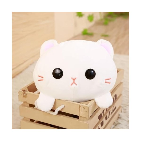 EacTEL Chaton Mignon Peluche Jouet Chat poupée Peluche Animal Animal Chaton Oreiller canapé Chambre décoration Anniversaire C