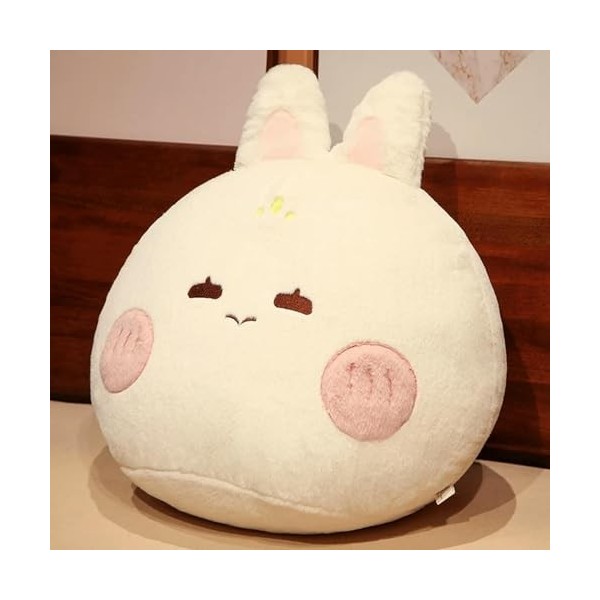 SaruEL Doux Lapin en Peluche Oreiller Mignon en Peluche Animal Rond Peluche Lapin Jouet Kawaii Peluche Jouet Chambre Décorati
