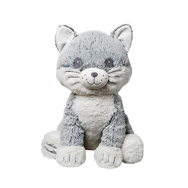 Pioupiou et Merveilles Peluche Bisounours - Toubonté- - Multicolore pas