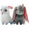 Ginkago Mo Dao Zu Shi Grandmaster of Demonic Culvation Wangji Wuxian Rabbit Lot de 2 jouets en peluche