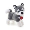 Trudi TUD22271 Husky Marcus Small