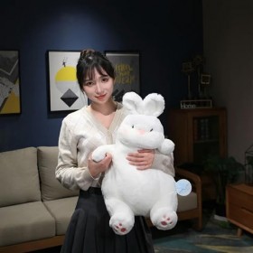 Kawaii Lapin Peluche poupée Oreiller Doux Enfants Filles Cadeaux d’Anniversaire décoration Cadeaux de Noël 45cm 1