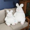 Kawaii Lapin Peluche poupée Oreiller Doux Enfants Filles Cadeaux d’Anniversaire décoration Cadeaux de Noël 45cm 1