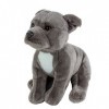 Teddys Rothenburg Peluche Chien Gris 30 cm American Staffordshire Terrier Animal Peluche Chien Pitbull