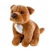 Teddys Rothenburg Pitbull/American Staffordshire Terrier assis 30 cm Marron