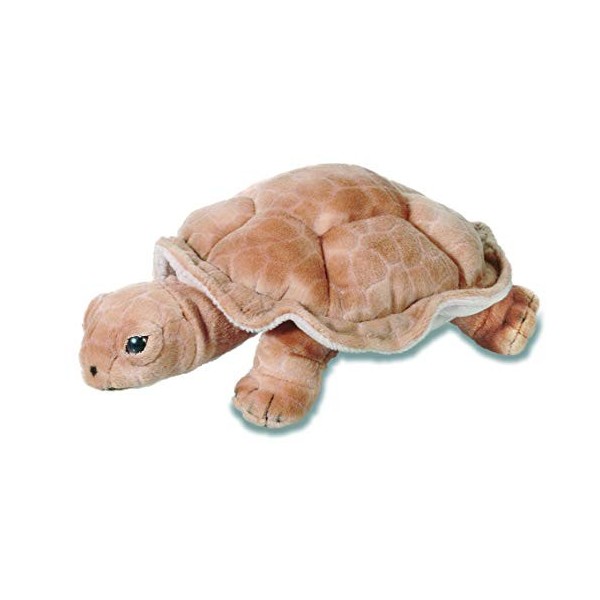 IMPEXIT Peluche Tortue terrestre 22/15/9cm