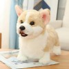 KiLoom Simulé Corgi Bulldog Golden Retriever Chien Animal en Peluche Peluche Jouet Poupée Enfants Apaisant Playmate Tissu 30c