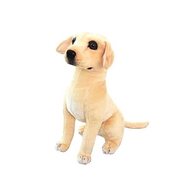 Golden Retriever en Peluche Chien en Peluche Simulation Animaux Peluche Jouet Douce Animaux Coussin en Peluche Décoration Chi