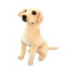 Golden Retriever en Peluche Chien en Peluche Simulation Animaux Peluche Jouet Douce Animaux Coussin en Peluche Décoration Chi