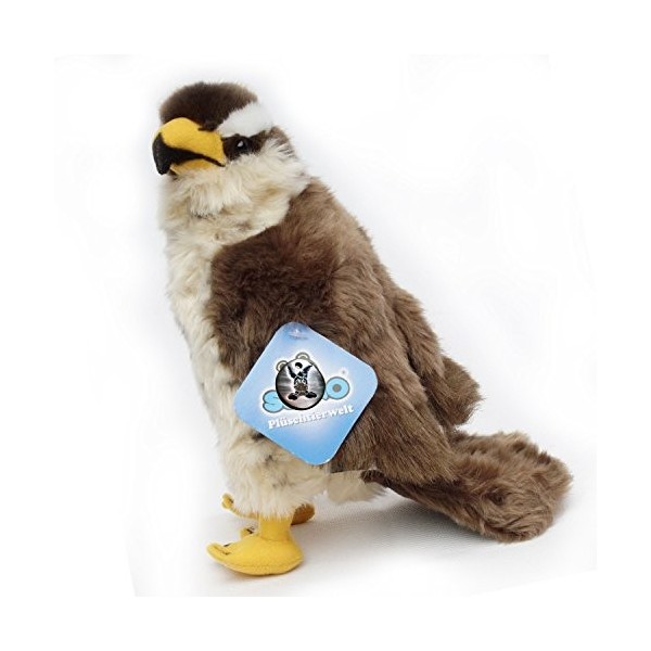 Habicht - Peluche en forme doiseau Bussard - Biz.