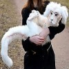 Poupée dragon Falkor sans fin en peluche faite à la main pour garçons et filles