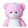 Lifestyle & More Gros Nounours Ours en Peluche XXL 100 cm Grand Rose Doudou velouté