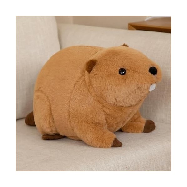Kawaii Castor Rat Peluche Jouet Dessin animé Animal Peluche poupée Enfants garçon Anniversaire Cadeaux de noël 60cm 1