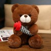 EacTEL Kawaii Ours Peluche Jouet Plante en Peluche Ours Embrasse Rose Oreiller Fleur Poupée Jouet Enfants Fille Saint-Valenti